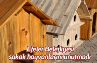 Efeler Belediyesi sokak hayvanlarını unutmadı