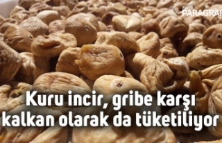 kuru incir, gribe karşı kalkan olarak da tüketiliyor