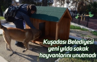 Kuşadası Belediyesi yeni yılda sokak hayvanlarını...