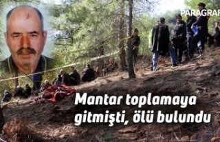 Mantar toplamaya gitmişti, ölü bulundu