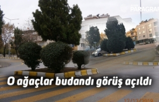 O ağaçlar budandı görüş açıldı