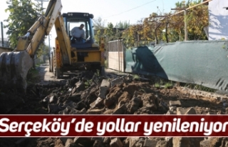 Serçeköy’de yollar yenileniyor