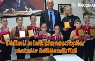 Didimli minik cimnastikçiler plaketle ödüllendirildi