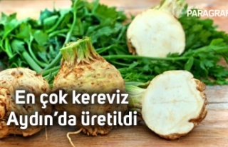 En çok kereviz Aydın’da üretildi