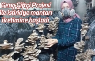 Genç Çiftçi Projesi ile istiridye mantarı üretimine...