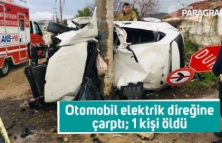 Otomobil elektrik direğine çarptı; 1 kişi öldü