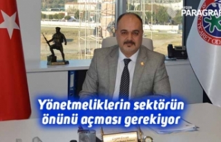 Yönetmeliklerin sektörün önünü açması gerekiyor