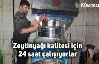 Zeytinyağı kalitesi için 24 saat çalışıyorlar