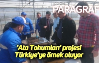 'Ata Tohumları' projesi Türkiye'ye...