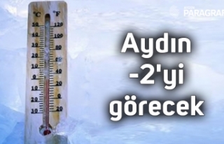 Aydın -2'yi görecek