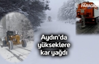 Aydın'da yükseklere kar yağdı