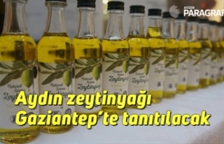 Aydın zeytinyağı Gaziantep’te tanıtılacak