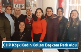 CHP Köşk Kadın Kolları Başkanı Perk oldu