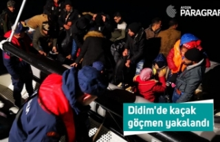 Didim'de kaçak göçmen yakalandı