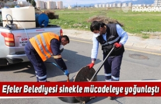 Efeler Belediyesi sinekle mücadeleye yoğunlaştı
