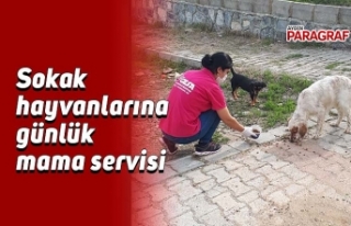 Sokak hayvanlarına günlük mama servisi