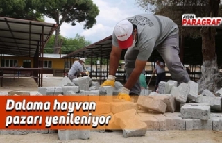 Dalama hayvan pazarı yenileniyor