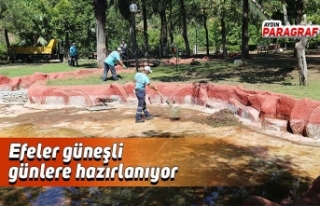 Efeler güneşli günlere hazırlanıyor
