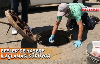 Efeler’de haşere ilaçlaması tüm hızıyla sürüyor