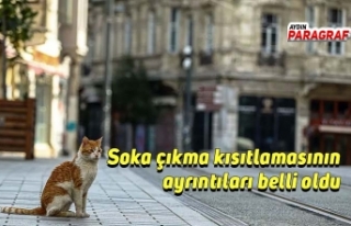 Soka çıkma kısıtlamasının ayrıntıları belli...