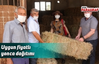 Uygun fiyatlı yonca dağıtımı