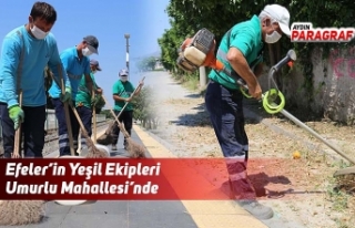 Efeler’in Yeşil Ekipleri Umurlu Mahallesi’nde