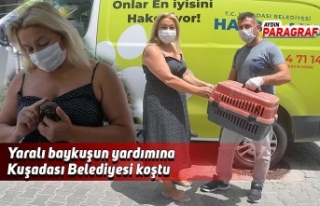 Yaralı baykuşun yardımına Kuşadası Belediyesi...