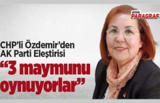 CHP’li Özdemir’den AK Parti eleştirdi