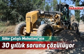 Söke Çalışlı Mahallesi'nin 30 yıllık sorunu...