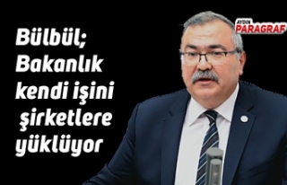 Bülbül; Bakanlık kendi işini şirketlere yüklüyor