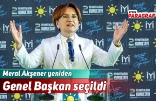 Meral Akşener yeniden Genel Başkan seçildi