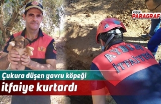 Çukura düşen yavru köpeği itfaiye kurtardı