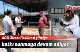 ADÜ Ziraat Fakültesi çiftçiye katkı sunmaya devam...