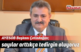 AYESOB Başkanı Çetindoğan; sayılar arttıkça...
