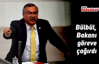 Bülbül, Bakanı göreve çağırdı
