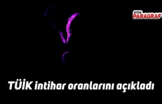 TÜİK intihar oranlarını açıkladı