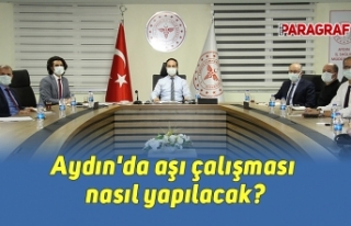 Aydın'da aşı çalışması nasıl yapılacak?