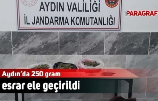 Aydın’da 250 gram esrar ele geçirildi