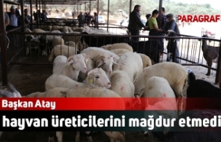 Başkan Atay hayvan üreticilerini mağdur etmedi