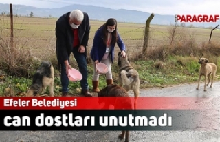 Efeler Belediyesi can dostları unutmadı