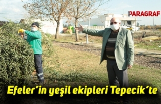 Efeler’in yeşil ekipleri Tepecik’te