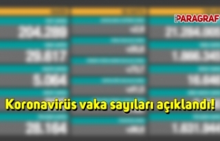 Koronavirüs vaka sayıları açıklandı!