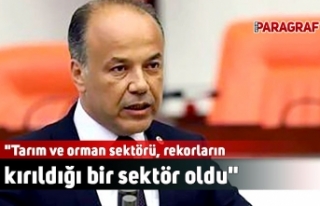 "Tarım ve orman sektörü, rekorların kırıldığı...
