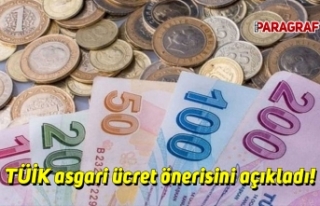 TÜİK asgari ücret önerisini açıkladı!
