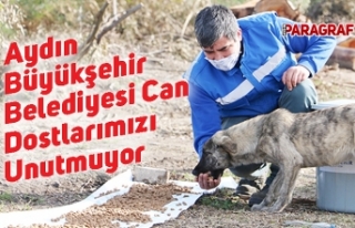 Aydın Büyükşehir Belediyesi Can Dostlarımızı...