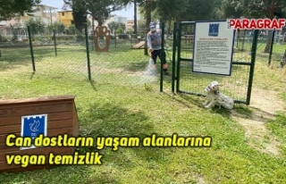 Can dostların yaşam alanlarına vegan temizlik