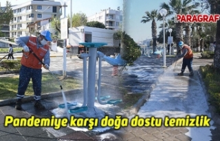 Pandemiye karşı doğa dostu temizlik