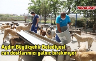 Aydın Büyükşehir Belediyesi can dostlarımızı...
