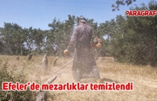Efeler’de mezarlıklar temizlendi