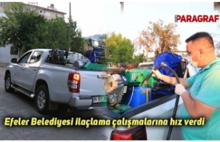Efeler Belediyesi ilaçlama çalışmalarına hız...